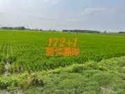 房屋搜尋結果-台灣房屋嘉義湖子內特許加盟店 水林0.9厘小農地